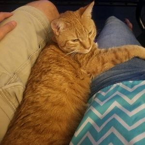 Meet your Posher, Christina